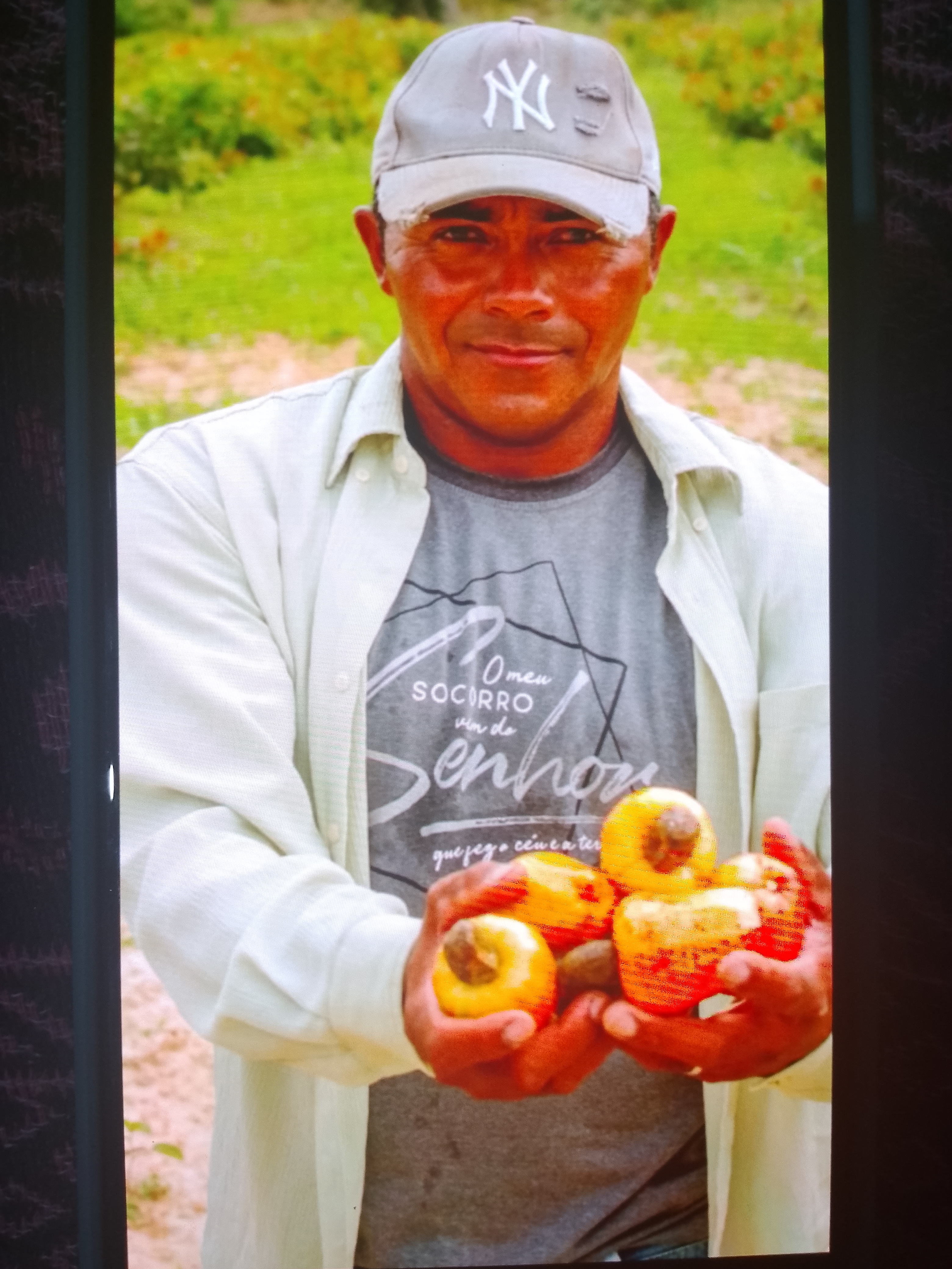 Foto de MARCOS FRANCISCO DE OLIVIERA 