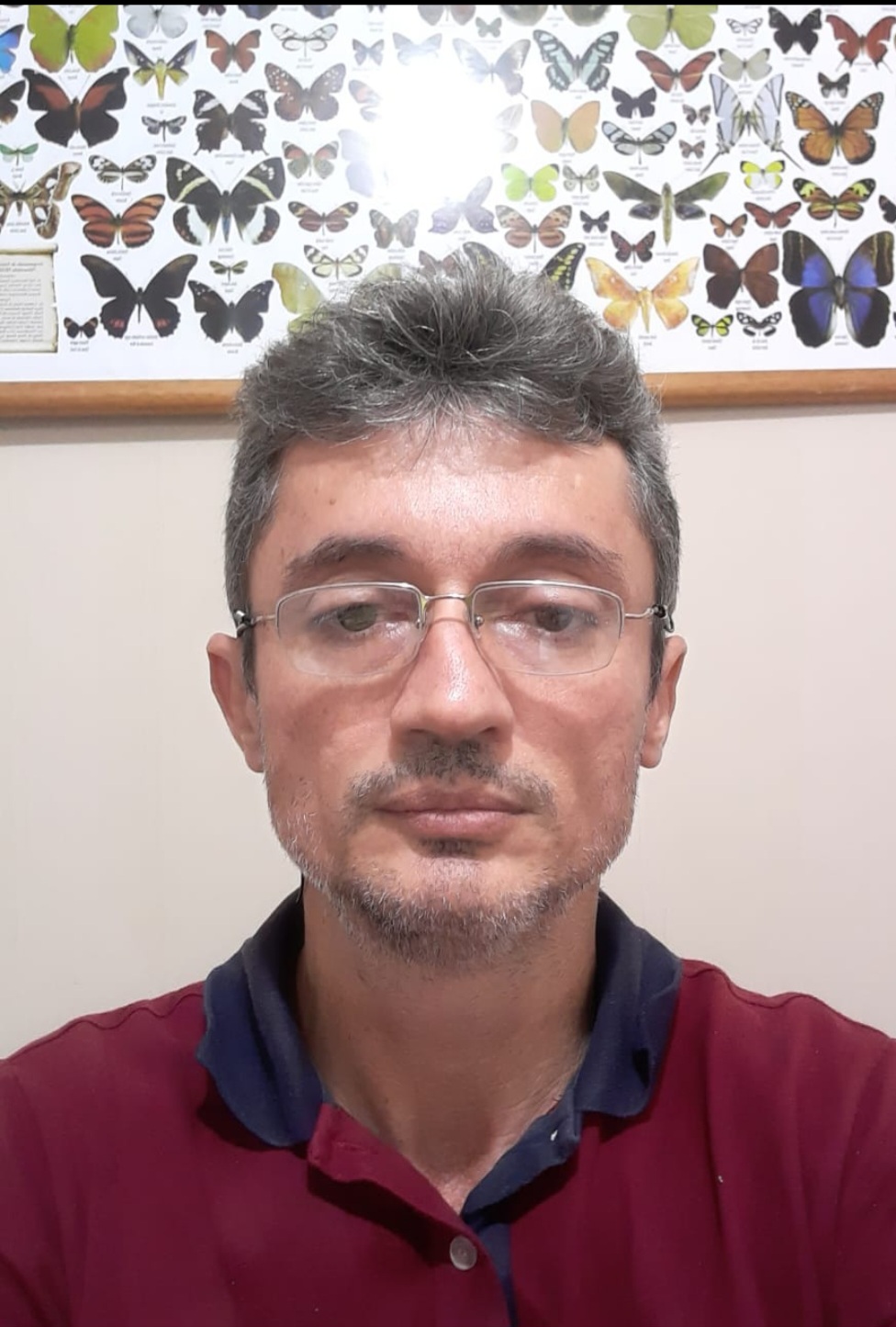 Foto de MARCELO FLÁVIO DE CARVALHO PORTO